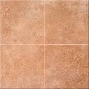 Earthpath Options Baked Clay (8 X 8 Options Tile)